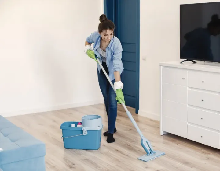 Femme de ménage Saint-Cergues